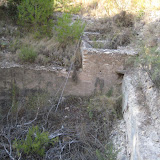 IMG_8935.JPG