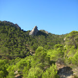 IMG_8940.JPG