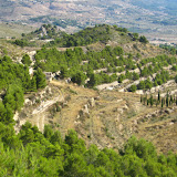 IMG_8953.JPG