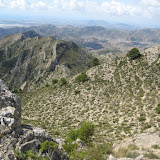 IMG_8973.JPG