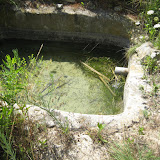 IMG_8983.JPG