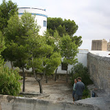 IMG_8882.JPG