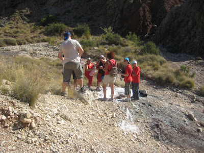  Font de les Salines, 3ª Font del Mes