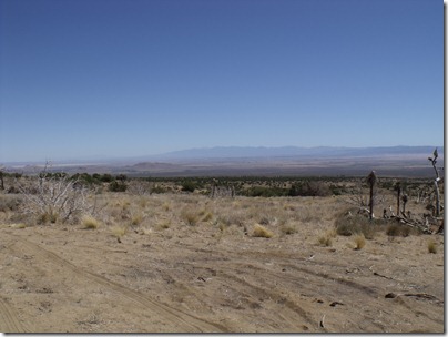 pics 008