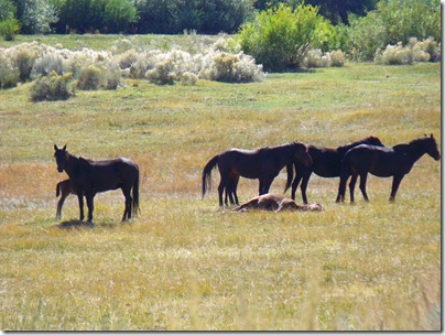 pics 006