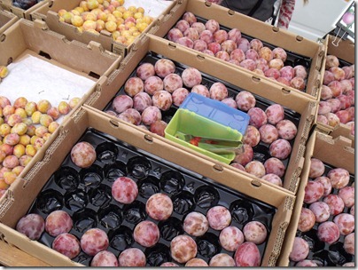 foodbuzz 028