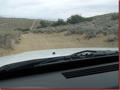 pics 030