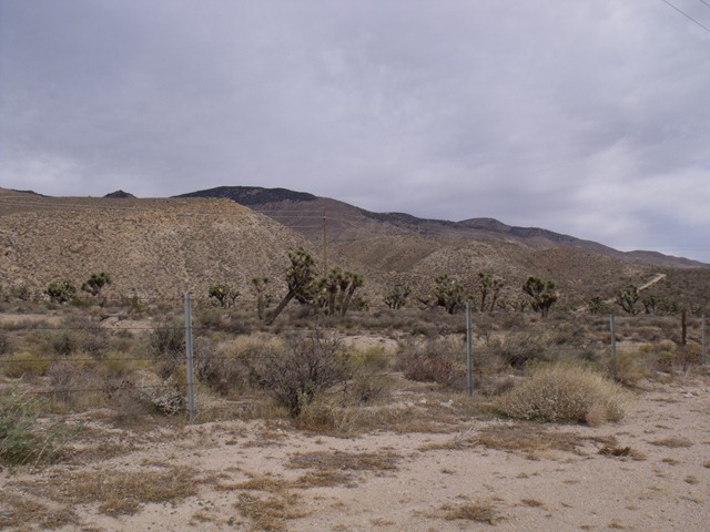 [pics 032[3].jpg]