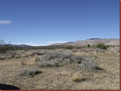 pics 003