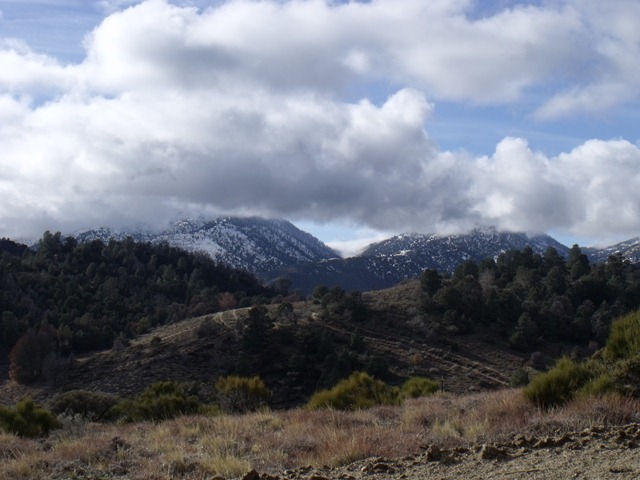 [pics-0483.jpg]