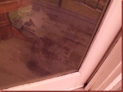 pics 011
