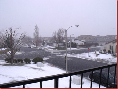 pics 017