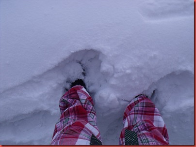 snowday 004