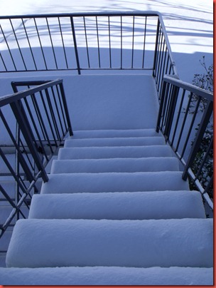 snowday 009