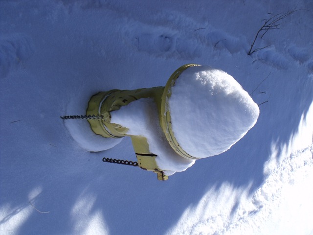 [snowday 026[3].jpg]