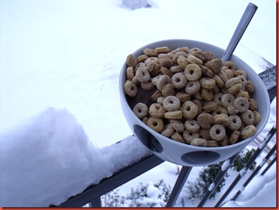 snowday 001