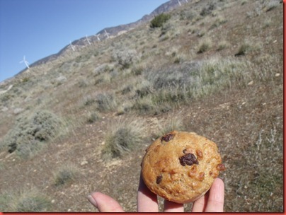 pics 008