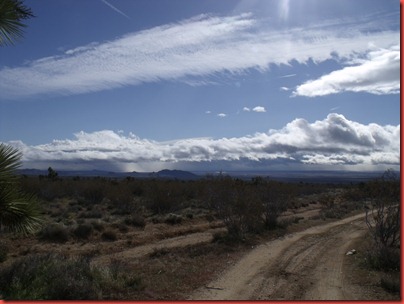 pics 009