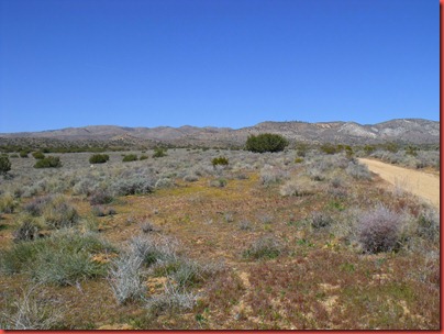 pics 022