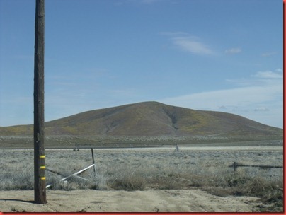 pics 012