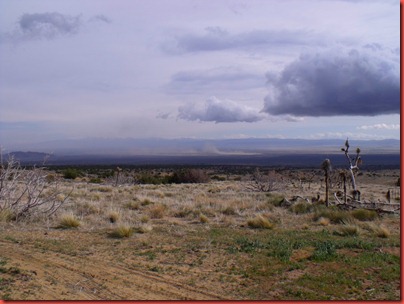 pics 009