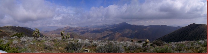 pics 008
