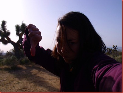 pics 007