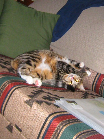 [pics-0035.jpg]