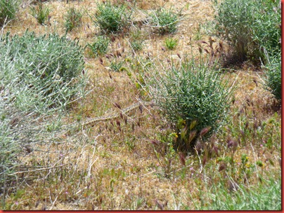 pics 005