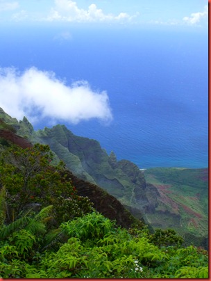 hawaii 019
