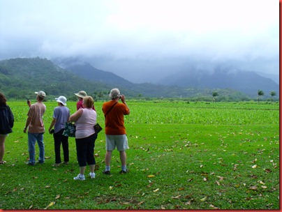 kauai 013