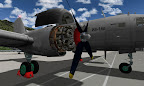 IL-14