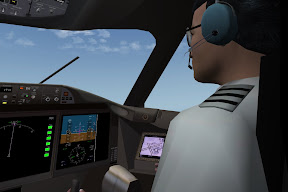 copilot
