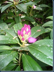 P1040058