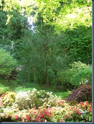 P1040081