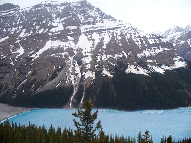 [Banff0312.jpg]