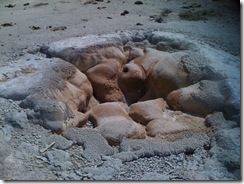 iphone-yellowstone-july-8-2009 025