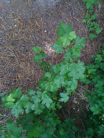[iphonesummervacation20090932.jpg]