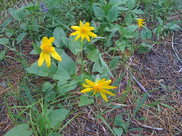 [iphonesummervacation20090992.jpg]