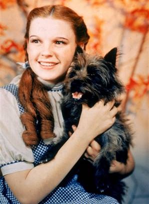 [Dorothy and Toto[4].jpg]
