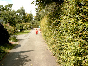 SIMG0870.JPG