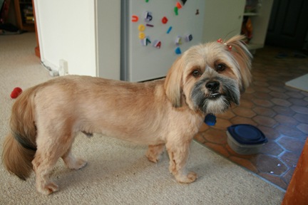 [November 293[3].jpg]