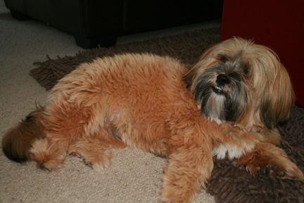 [November 286[3].jpg]