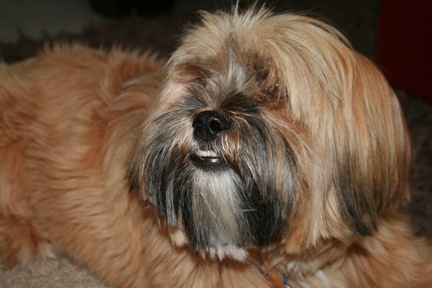 [November 287[3].jpg]