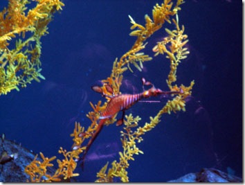 spiney3_atl2740298