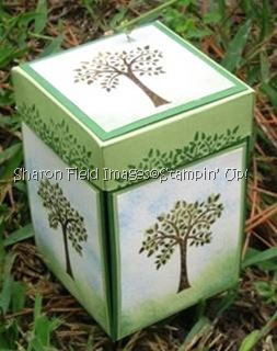 Enchanted Forest 3D Box Tutorial