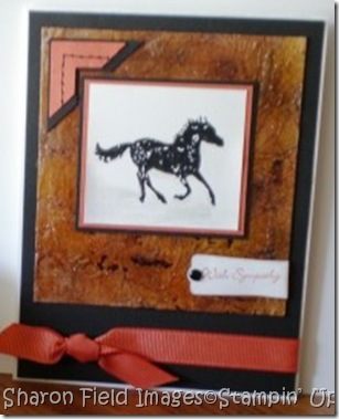 sept_shares_pics 007
