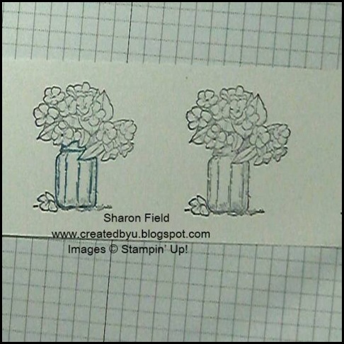watercolor-with-markers, sharon-field, created-by-you, on-the-grow, stampin-up, summer-mini-catalog