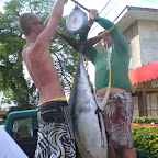65kg Thunfisch