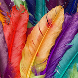 20 Colorful Series Wallpapers